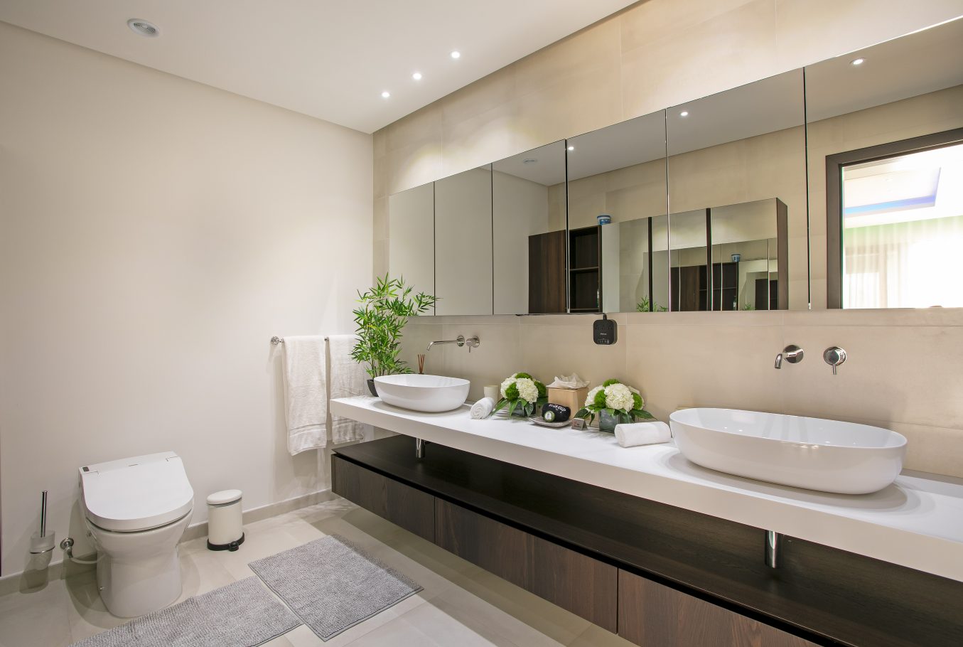 Luxury bathroom